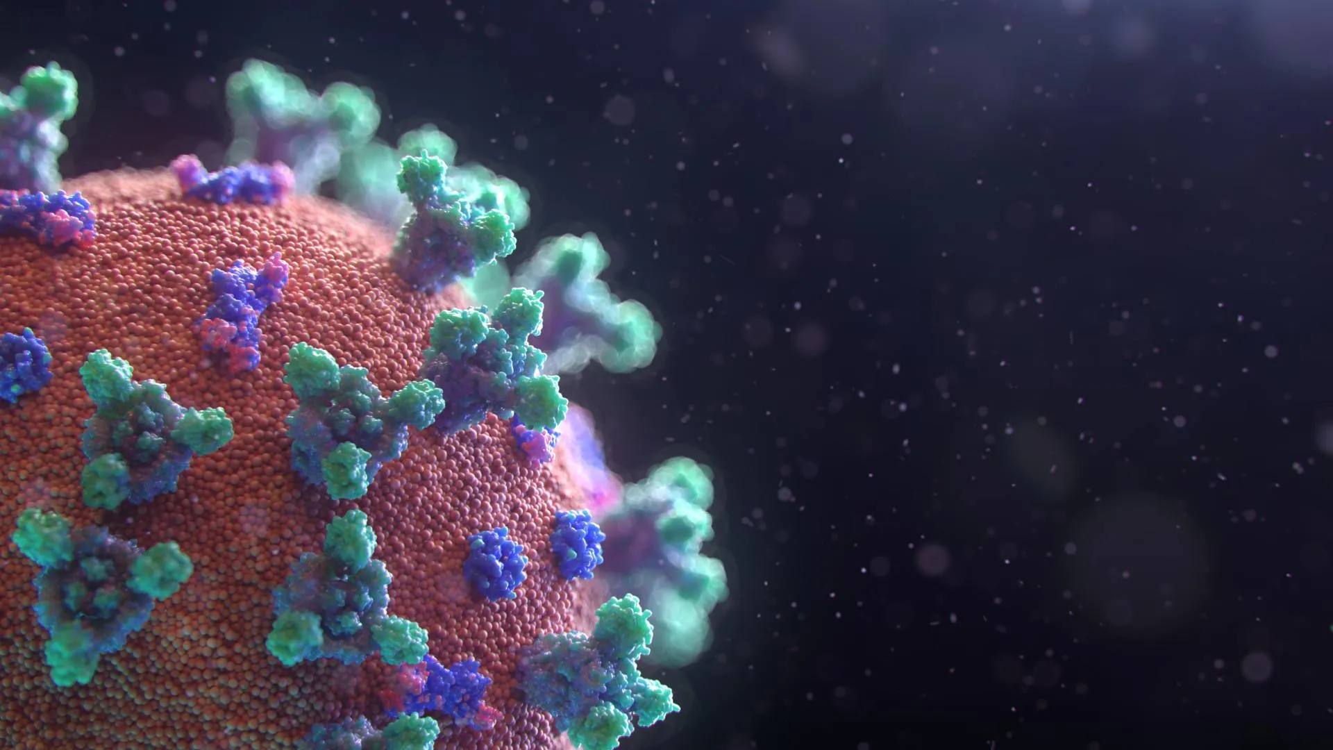 Fusion Medical Animation Eaggqoiddmg Unsplash 1920w