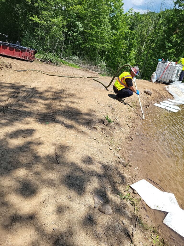 Elk Er Spill Albany Jg 1